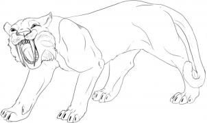 302x180 how to draw a saber tooth tiger, step - Saber Tooth Tiger Drawing