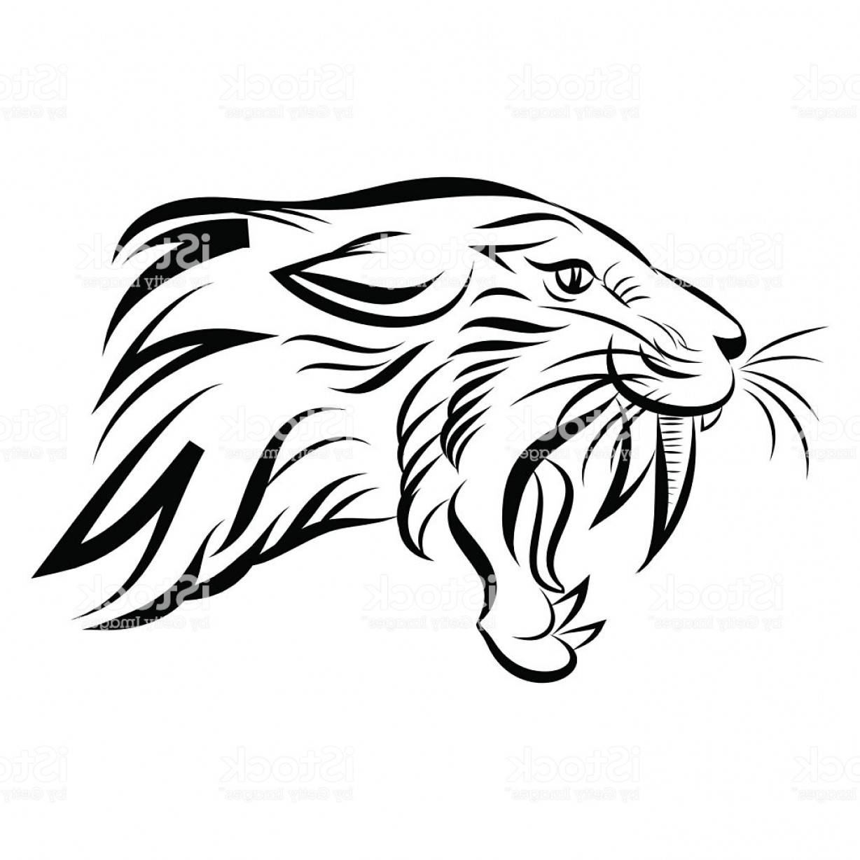 1228x1228 isolated head of saber tooth tiger vector gm soidergi - Saber Tooth Tiger Drawing