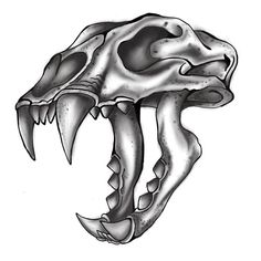 236x236 Best Sabertooth Tiger Tattoo Drawings Images Tattoo Drawings - Saber Tooth Tiger Drawing