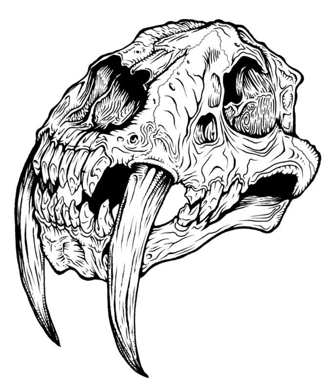 675x800 sabertooth tiger tattoos animal skull tattoos, tiger skull - Saber Tooth Tiger Drawing