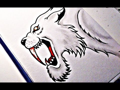 480x360 How To Draw A Sabertooth Tiger - Saber Tooth Tiger Drawing
