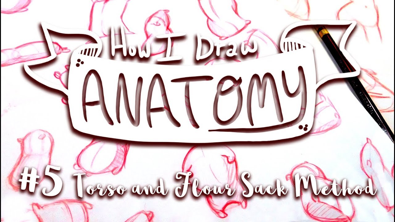 1280x720 how i draw anatomy - Sack Drawing