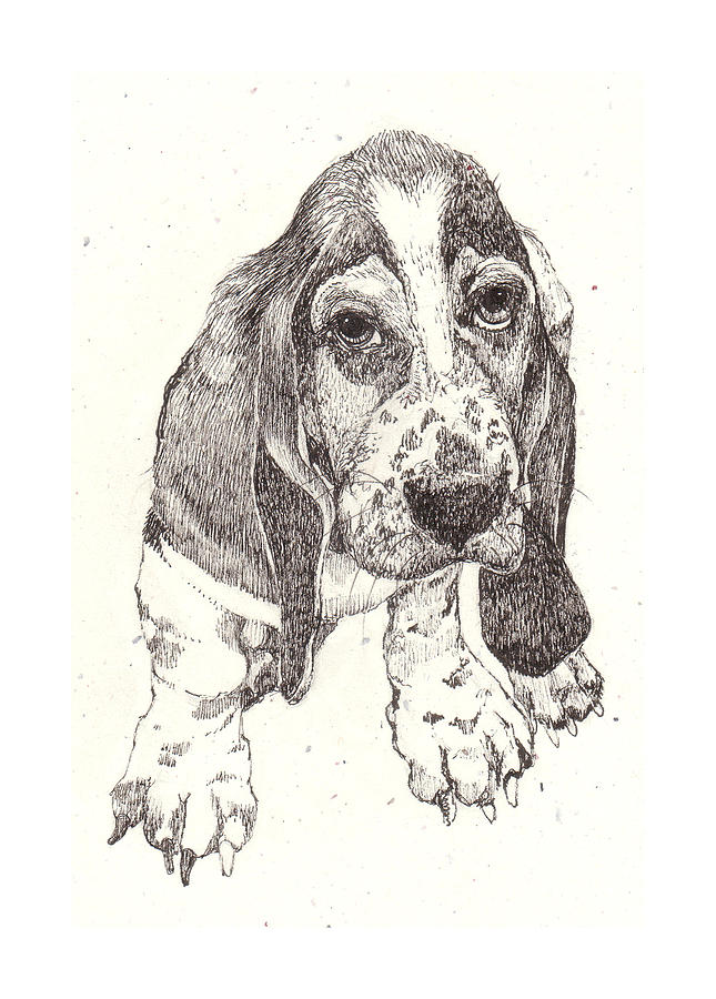 645x900 sad sack drawing - Sack Drawing