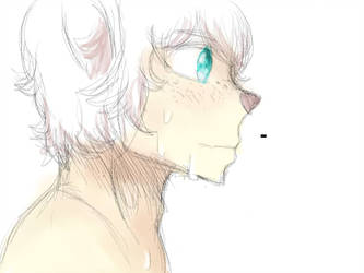 333x250 drawing sack - Sack Drawing