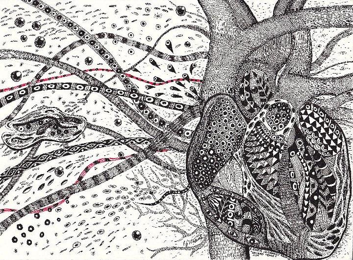 720x530 sacred heart drawing - Sacred Heart Drawing