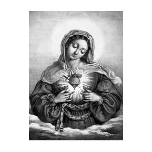 300x300 the sacred heart of mary drawing - Sacred Heart Drawing