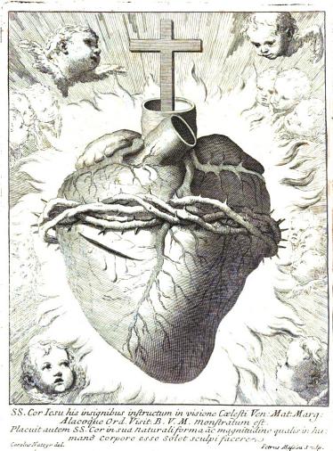 374x506 the sacred heart as a model for your heart the new theological - Sacred Heart Of Jesus Drawing