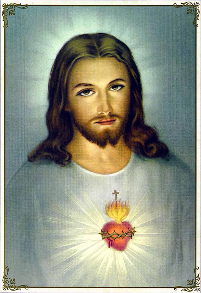 800x1166 the sacred heart of jesus - Sacred Heart Of Jesus Drawing