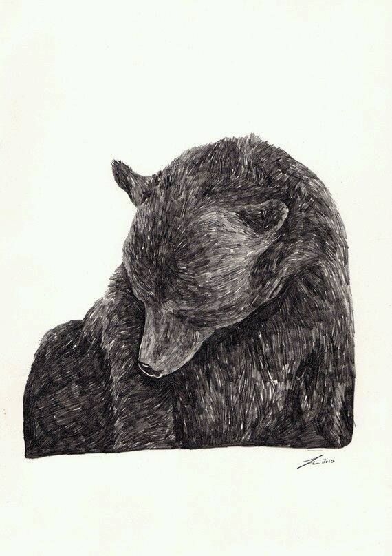 570x807 sad bear tattoo ideas bear art, illustration, bear drawing - Sad Bear Drawing