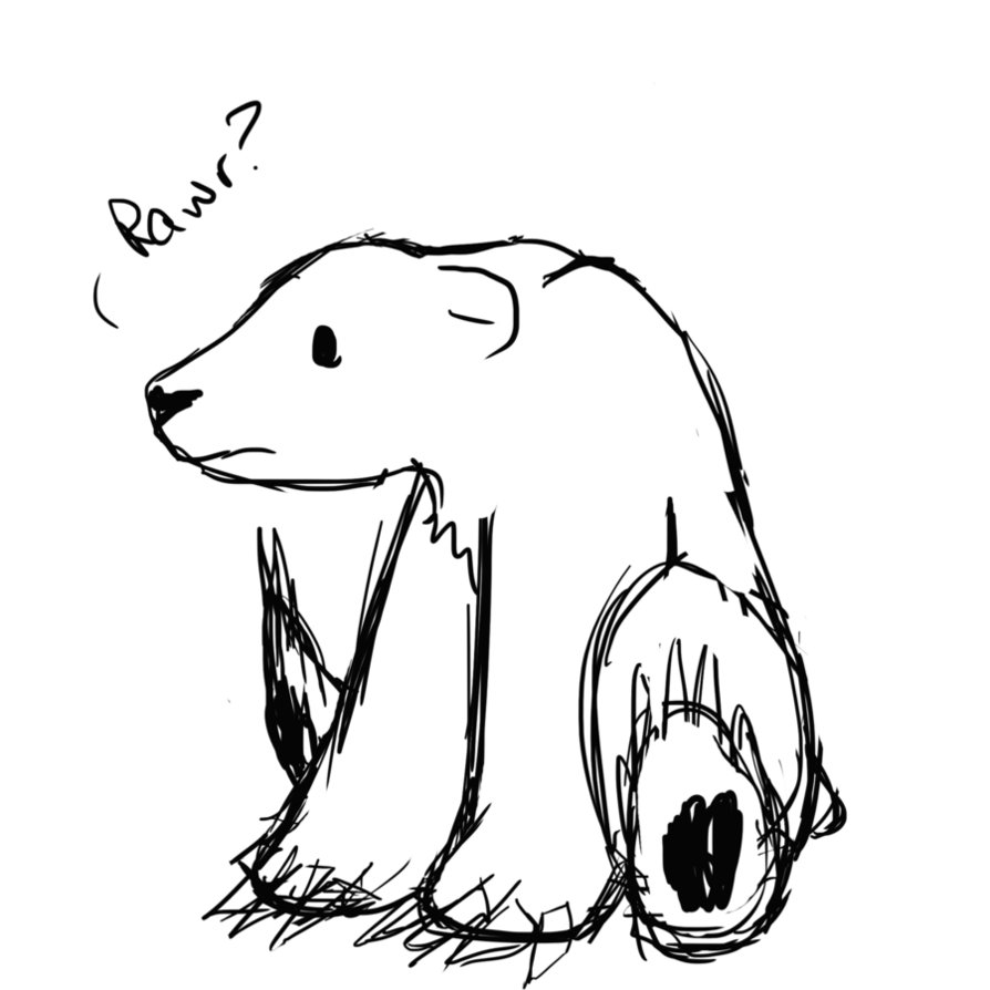 894x894 polar bear curious drawing - Sad Bear Drawing