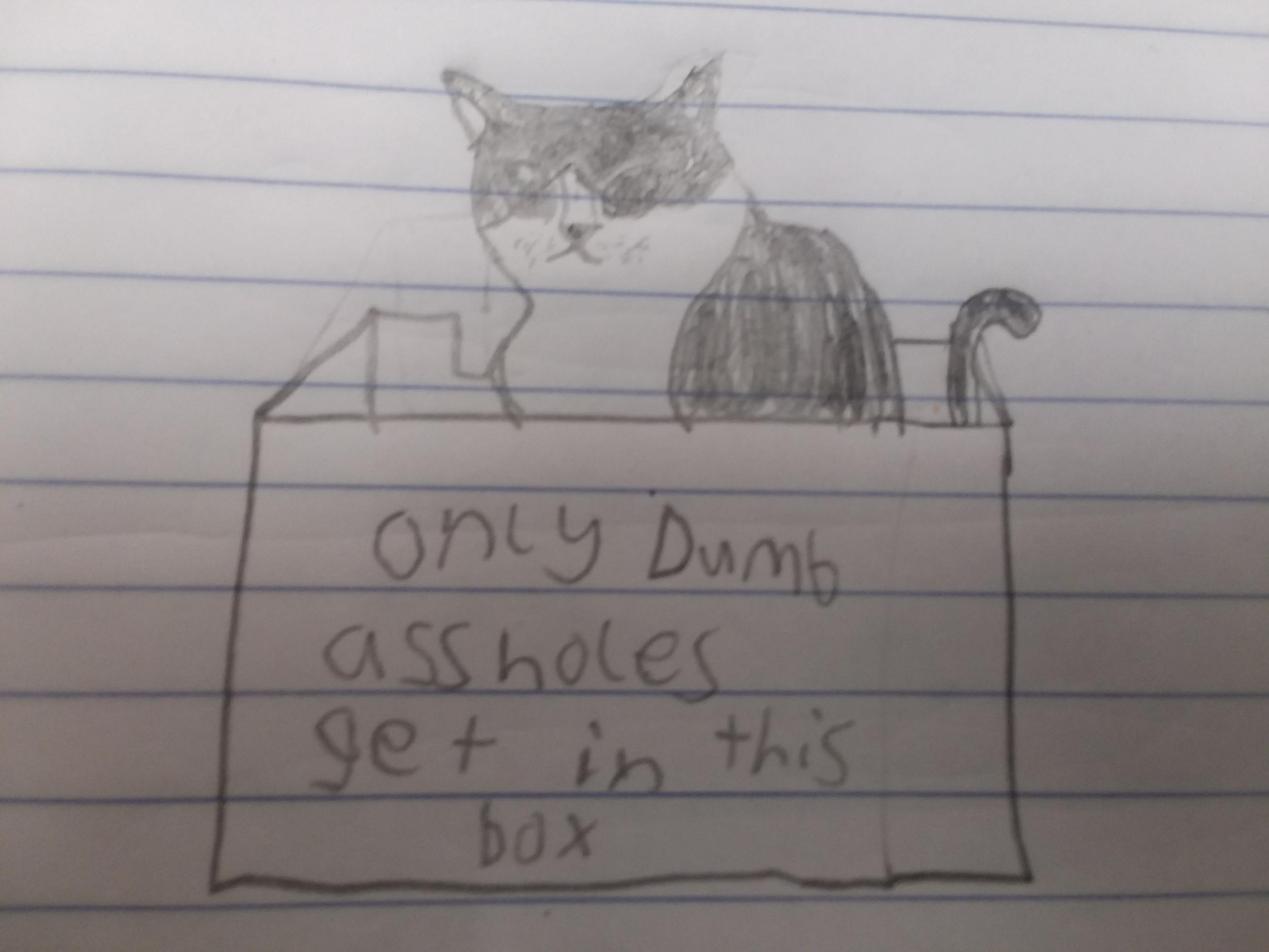 2576x1932 I Tried To Draw That Burrito Sad Cat, But I Couldn't Do It Right - Sad Cat Drawing