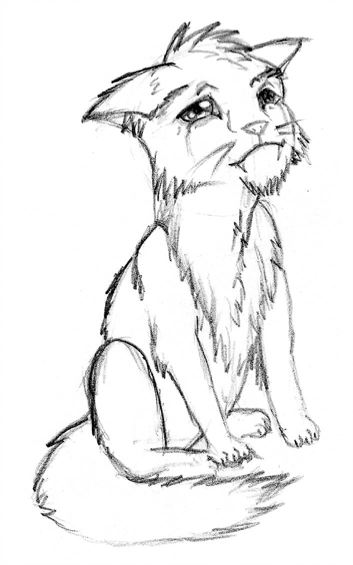 706x1131 Sad Cat - Sad Cat Drawing