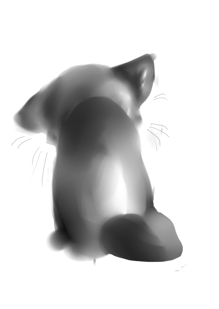 752x1063 sad kitty drawing sad cat drawing - Sad Cat Drawing