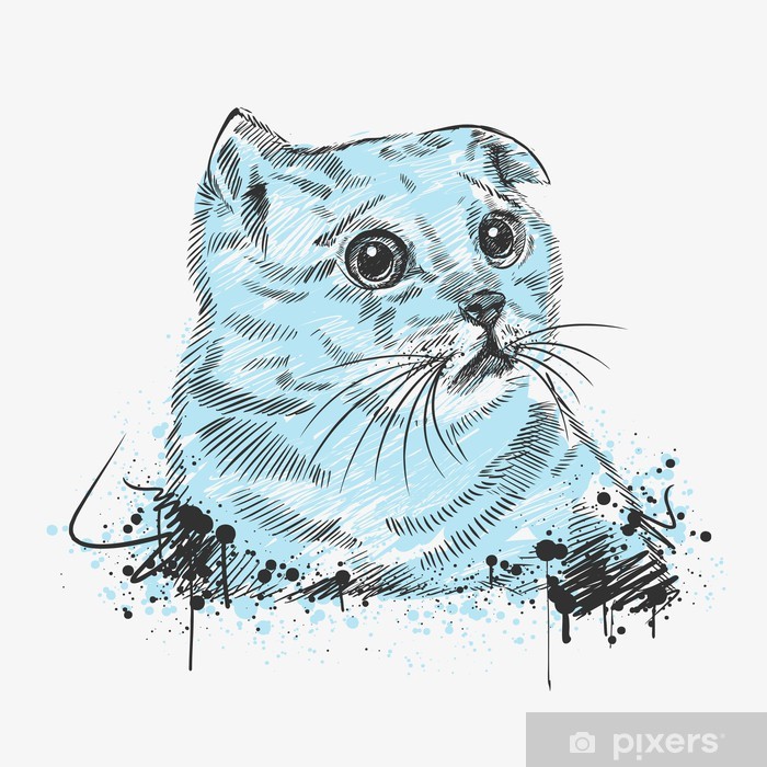 700x700 Sad Cat Wall Mural We Live To Change - Sad Cat Drawing