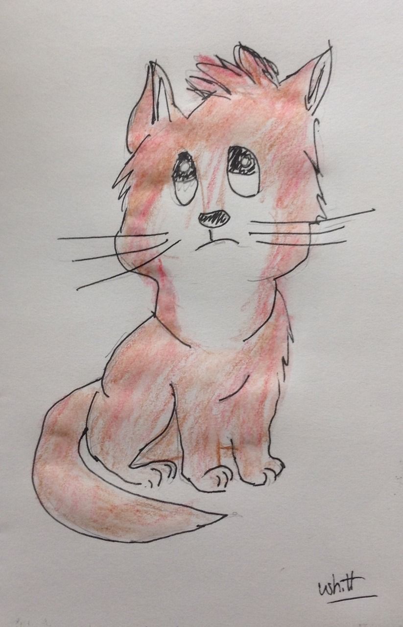 823x1280 Tim The Artist - Sad Cat Drawing