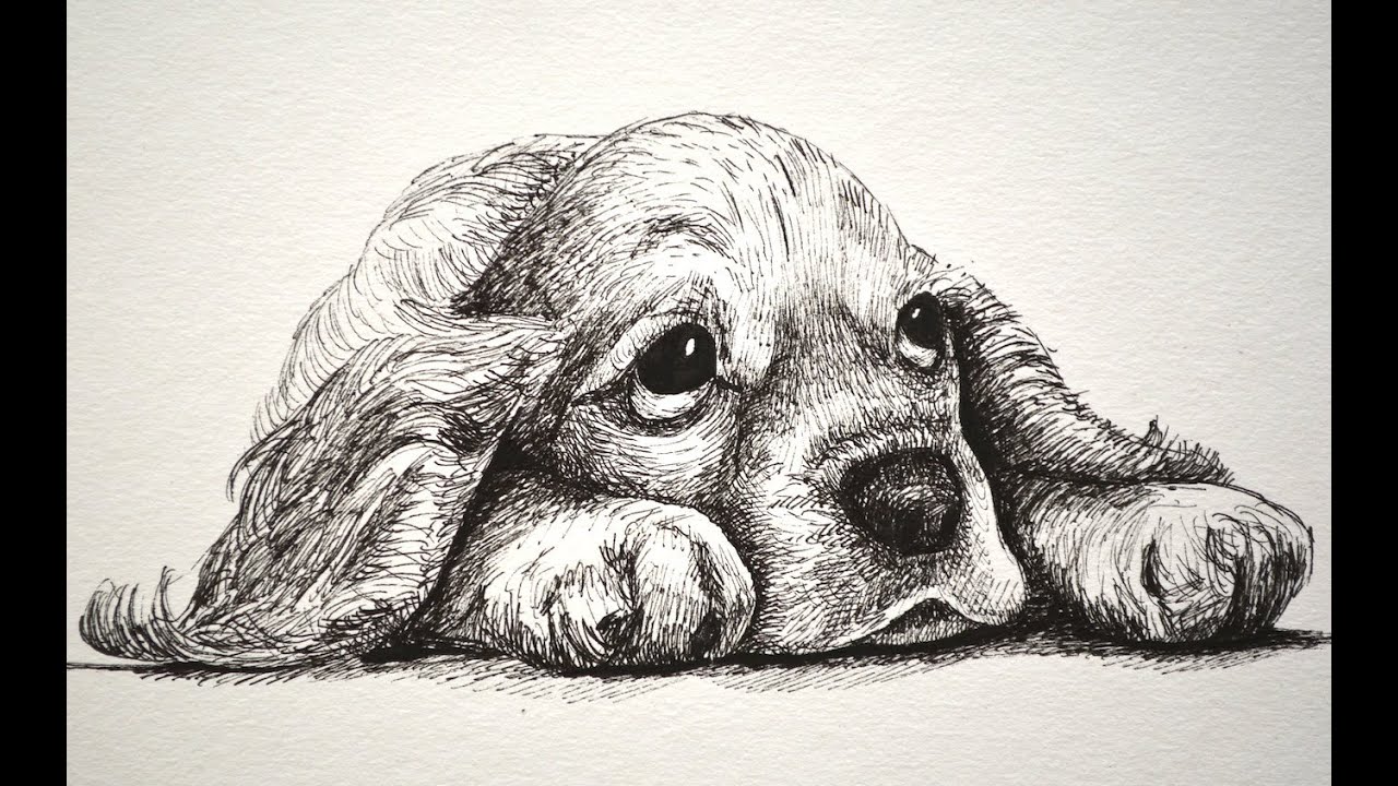 1280x720 How To Draw A Sad Puppy - Sad Dog Drawing