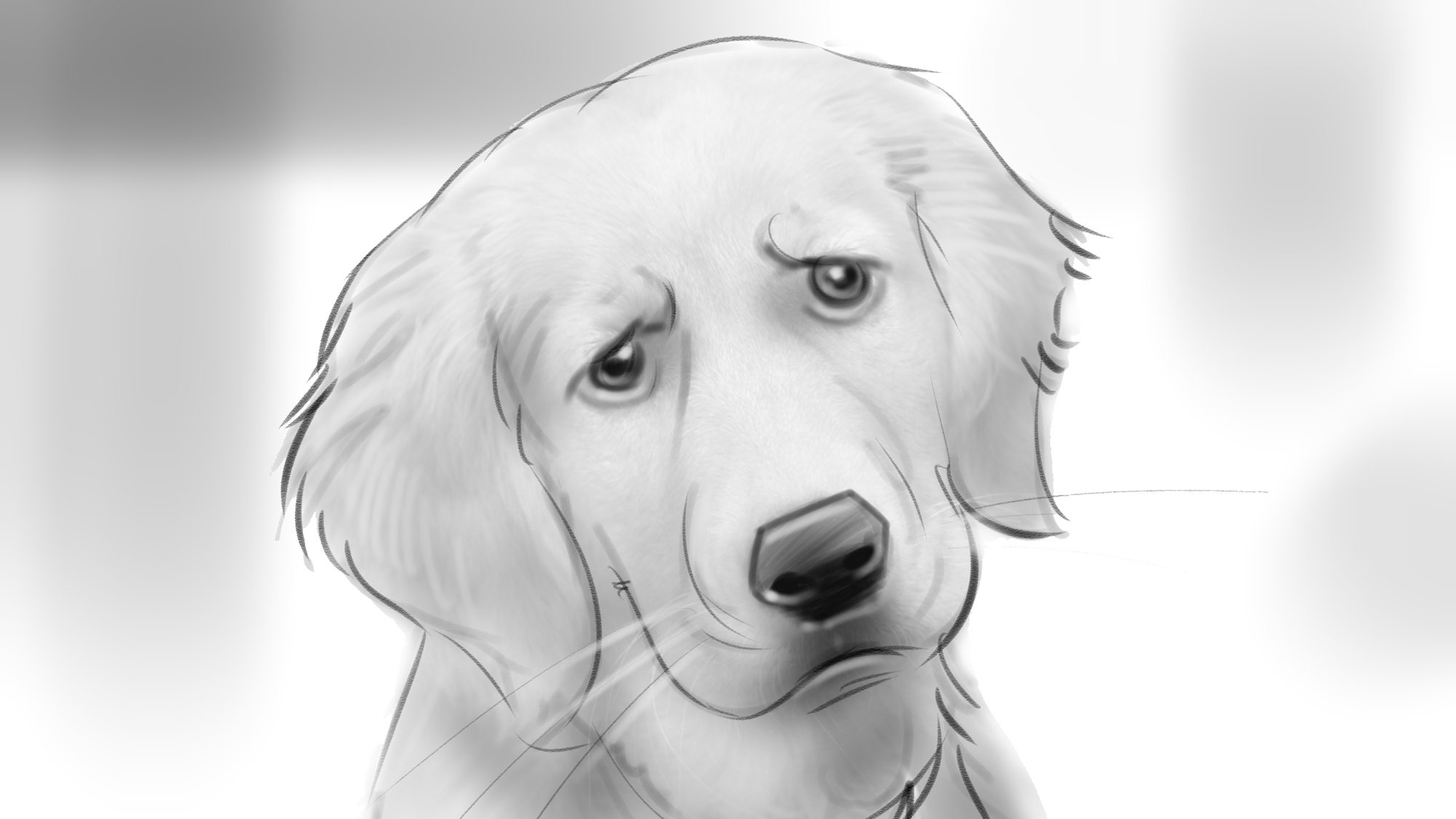 Sad Dog Drawing at PaintingValley.com | Explore collection of Sad Dog ...