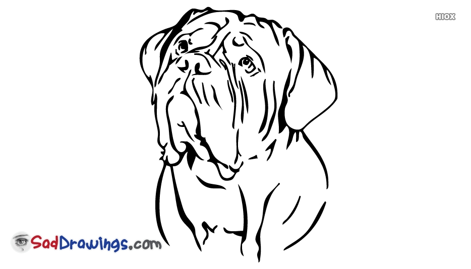 Sad Dog Drawing at PaintingValley.com | Explore collection of Sad Dog
