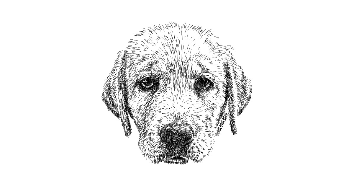 1200x630 Collection Inktober - Sad Dog Drawing