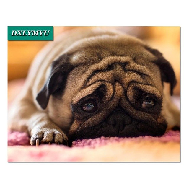 640x640 diamond mosaic embroidery sale animal sad dog diamond painting - Sad Dog Drawing