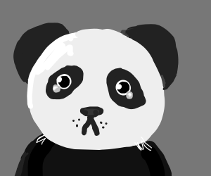 300x250 Sad Panda Drawing - Sad Panda Drawing