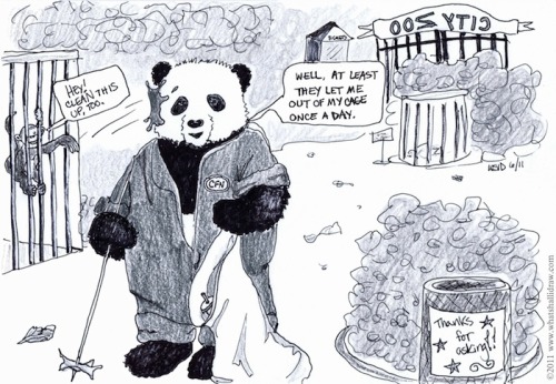 500x346 cfn asks you draw me a sad panda i what shall i draw - Sad Panda Drawing