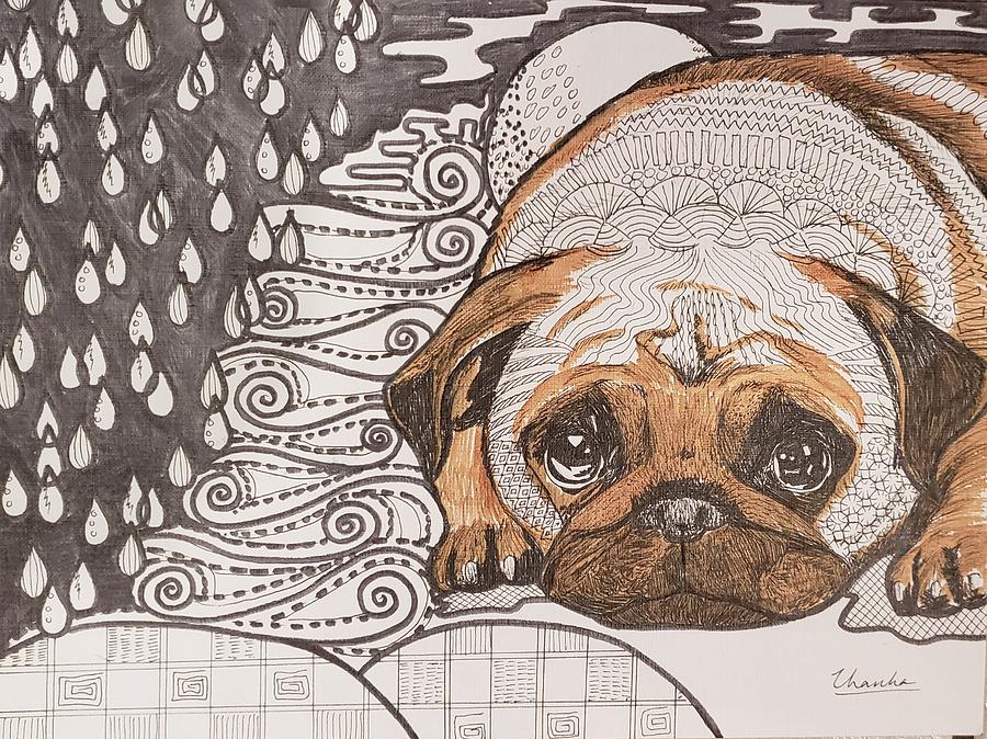 900x674 sad pup drawing - Sad Puppy Drawing
