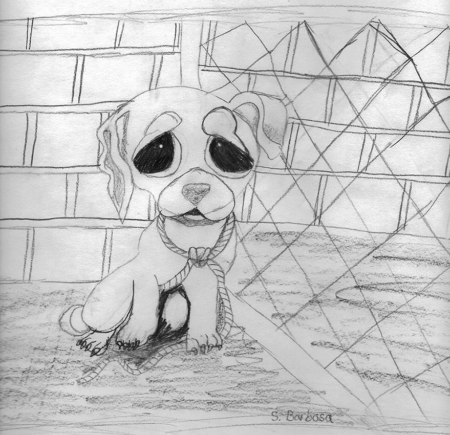 Sad Puppy Drawing at Explore collection of Sad