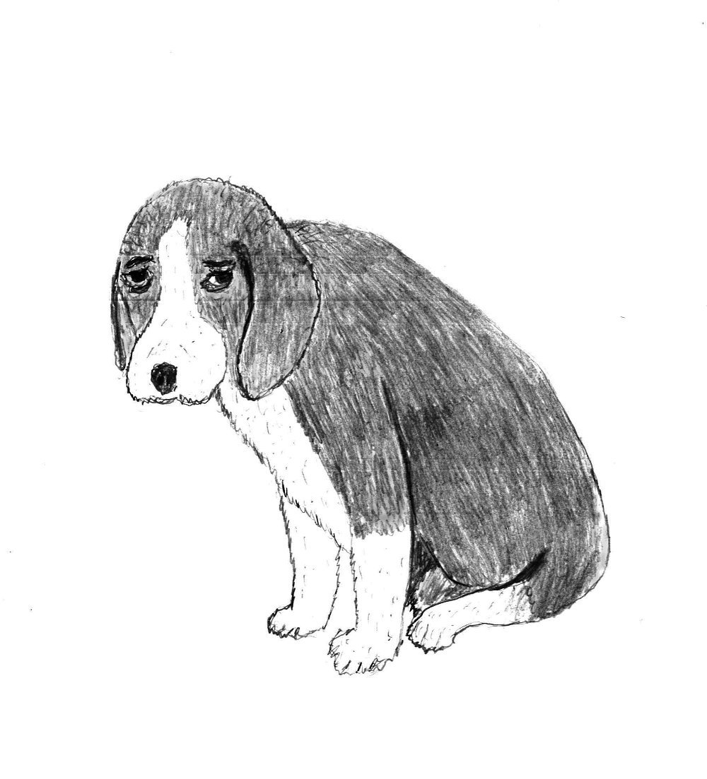 Sad Puppy Drawing at Explore collection of Sad