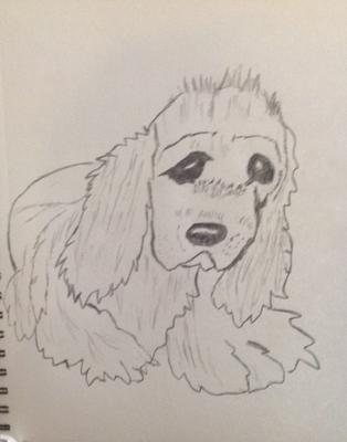 314x400 beagle dog and sad puppy - Sad Puppy Drawing