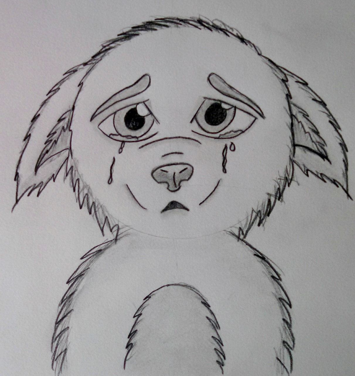 Sad Puppy Face Drawing at PaintingValley.com | Explore collection of