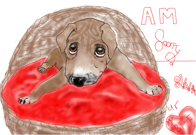 652x452 Sad Puppy Face - Sad Puppy Face Drawing