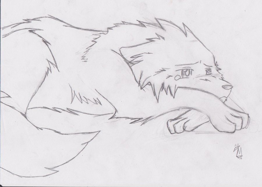 Sad Wolf Drawing at Explore collection of Sad Wolf