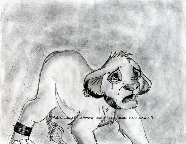 600x464 Sad Wolf Crying Drawing - Sad Wolf Drawing