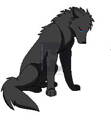 228x249 Sad Wolf Drawing - Sad Wolf Drawing