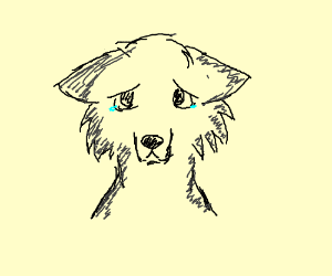 300x250 Sad Wolf Drawing - Sad Wolf Drawing