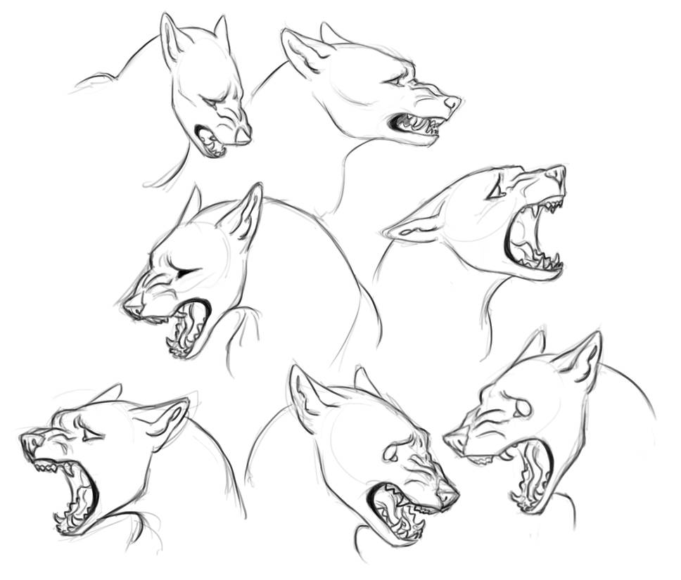 968x825 Sad Wolf Head - Sad Wolf Drawing