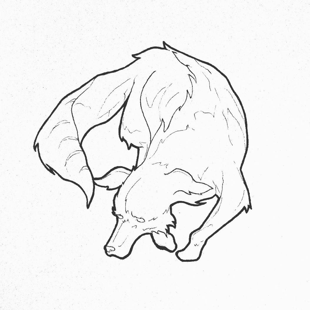 1054x1054 Art Chrispe Sad Wolf - Sad Wolf Drawing