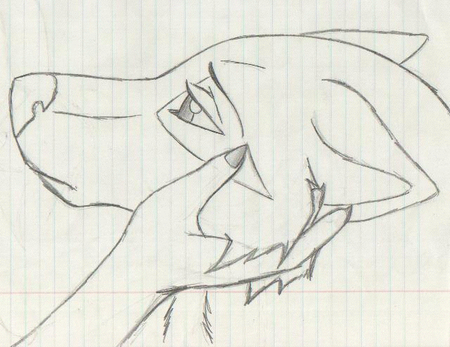 638x492 Hand Drawn Wolf Pics Sad Wolf - Sad Wolf Drawing