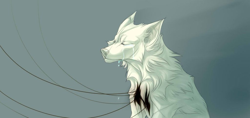 1024x486 Sad Wolf - Sad Wolf Drawing