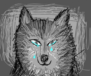 300x250 Sad Wolf Drawing - Sad Wolf Drawing
