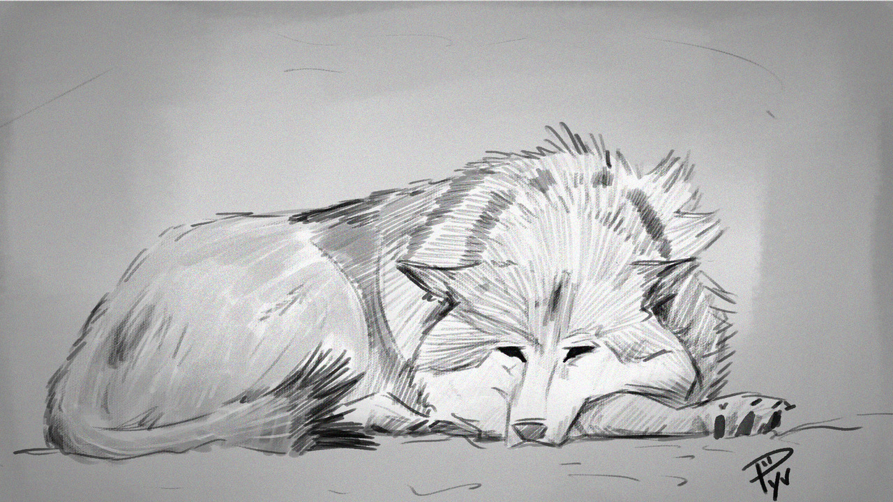 Wolf - Sad Wolf Drawing. 