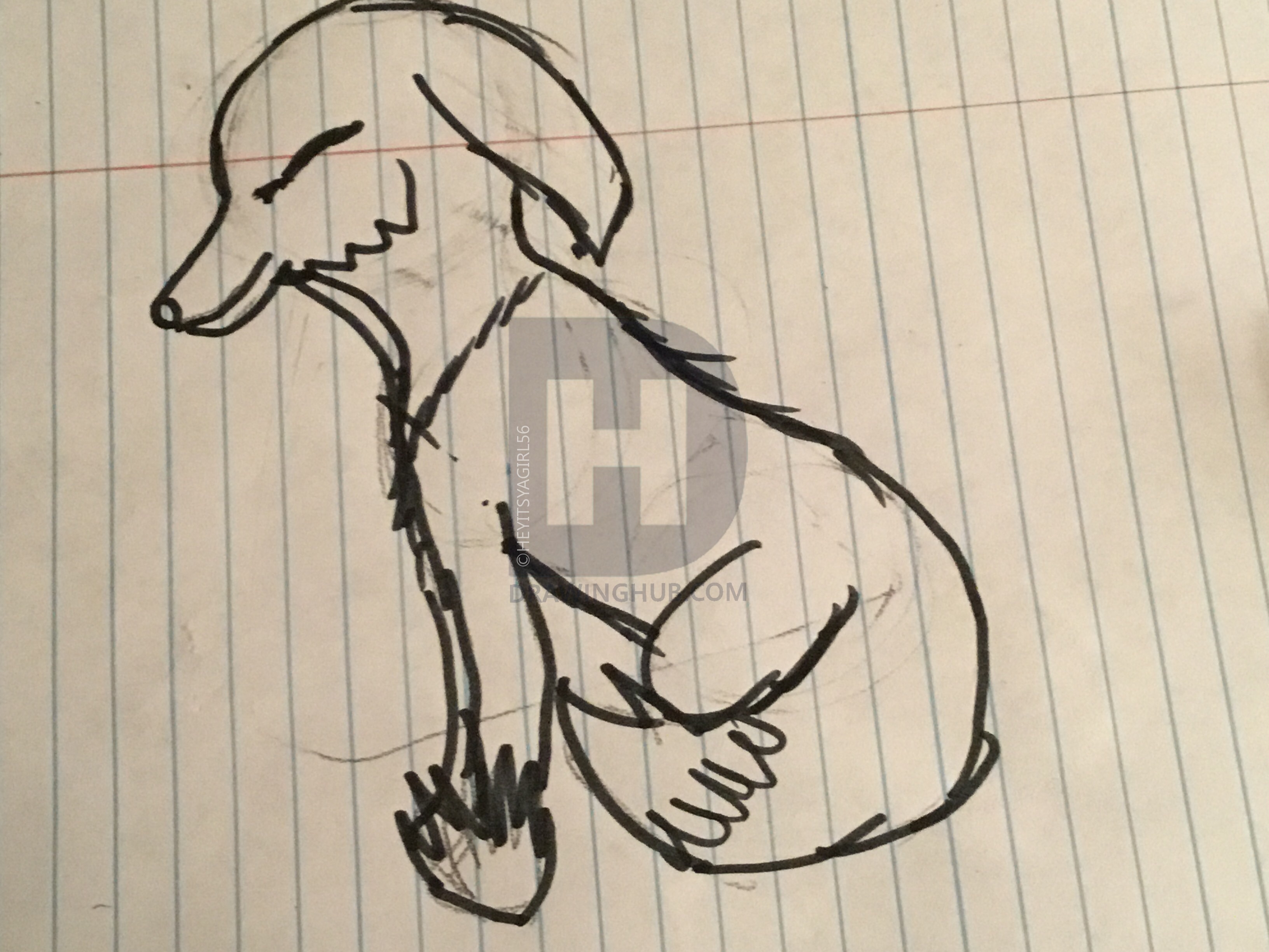 3264x2448 A Sad Wolf - Sad Wolf Drawing