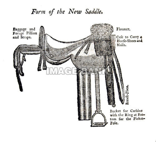 500x456 british saddle drawing copy - Saddle Drawing