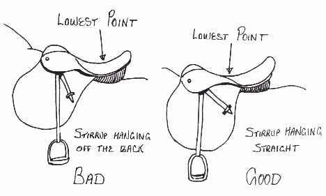 468x281 saddle fitter available in gauteng area junk mail - Saddle Drawing