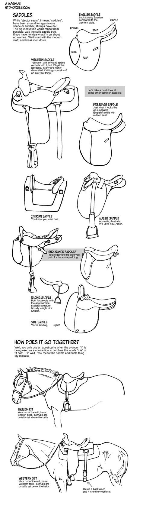 474x1684 drawing saddles - Saddle Drawing