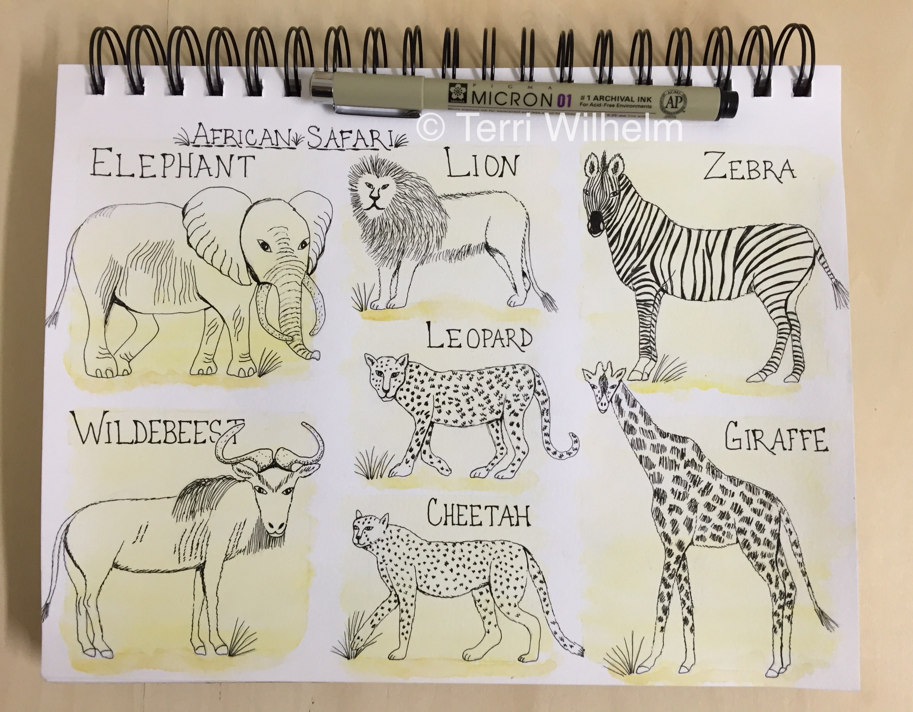 3140x2448 week weekly drawings african safari terri's notebook - Safari Drawing
