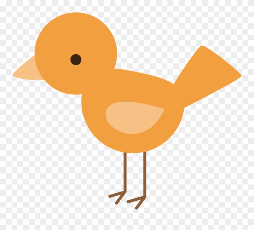 880x798 floresta e safari - Safari Drawing