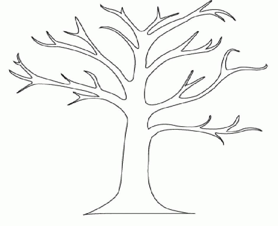 940x765 coloring book pages safari tree - Safari Tree Drawing