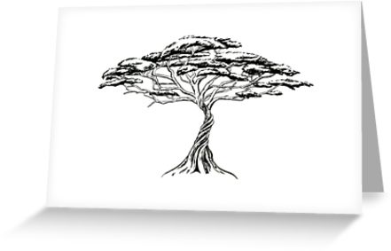 441x283 Huge Collection Of 'african Tree Drawing' Download More Than - Safari Tree Drawing
